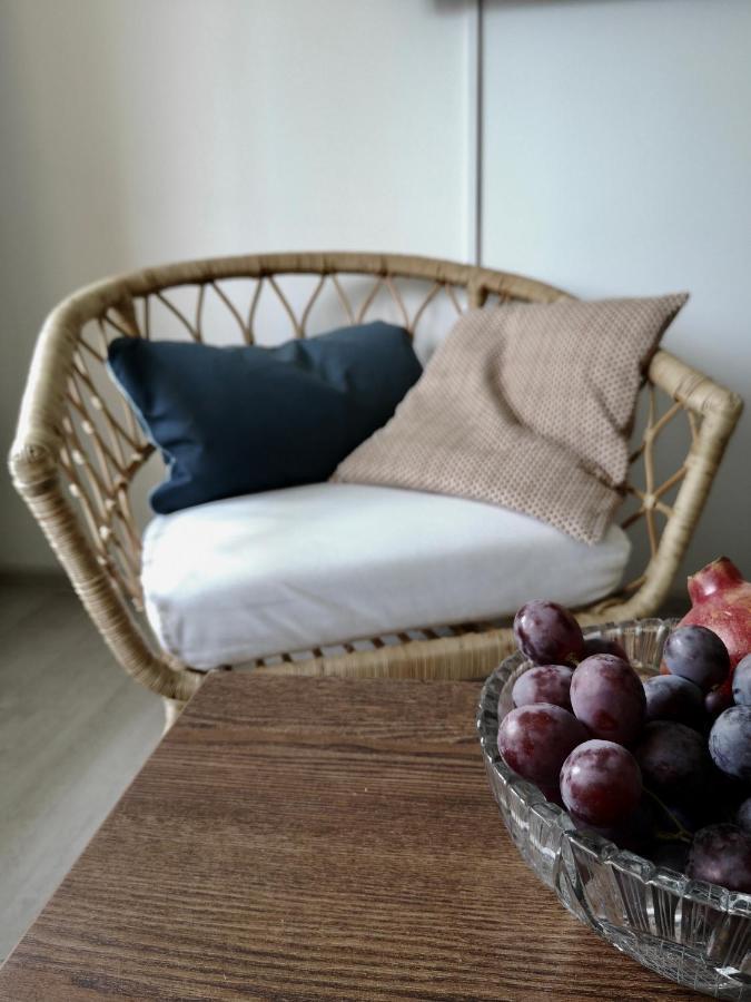 Homely Apartment In Kėdainiai Buitenkant foto
