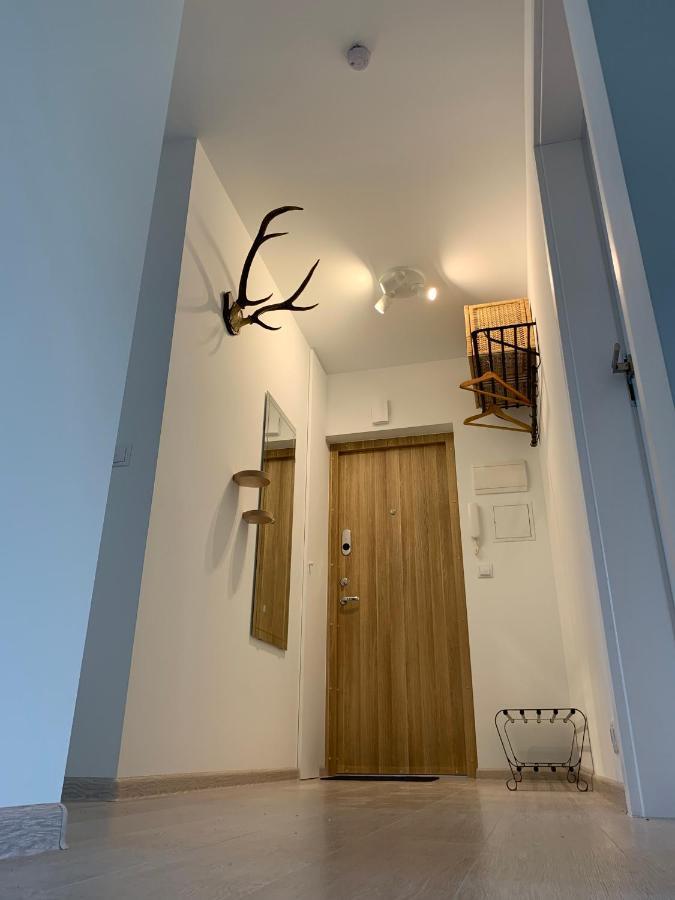 Homely Apartment In Kėdainiai Buitenkant foto
